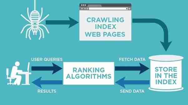 seo crawler web development step