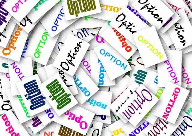 Web Design Options