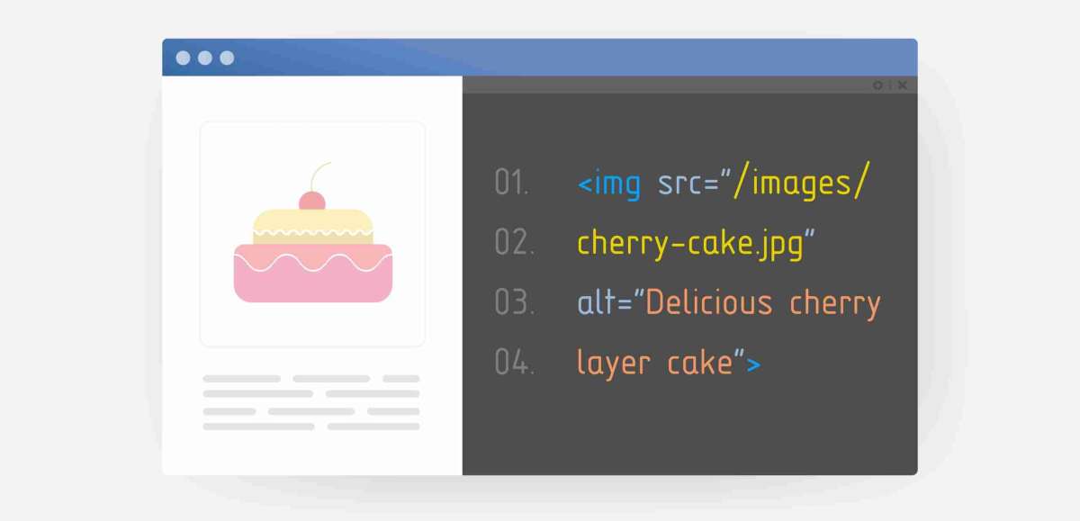 Provide alternative text for images and multimedia