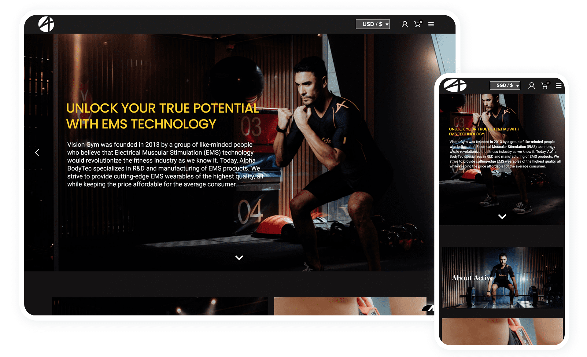Responsive Web Design Showcase - VisionGym Asia